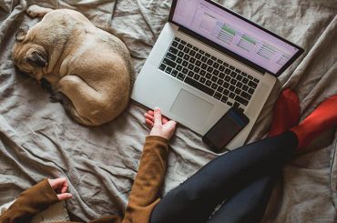 interferências domésticas no home office