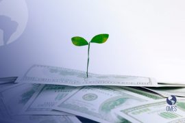 melhores investimentos de 2022